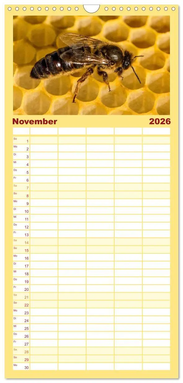 Bild: 9783516520040 | Familienplaner 2026 - Bienenkalender mit 5 Spalten (Wandkalender,...