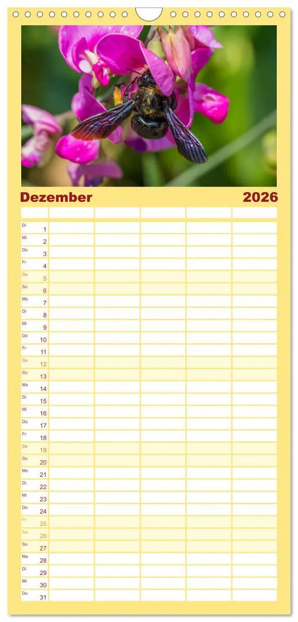 Bild: 9783516520040 | Familienplaner 2026 - Bienenkalender mit 5 Spalten (Wandkalender,...