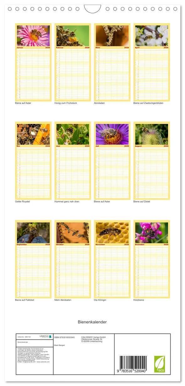 Bild: 9783516520040 | Familienplaner 2026 - Bienenkalender mit 5 Spalten (Wandkalender,...