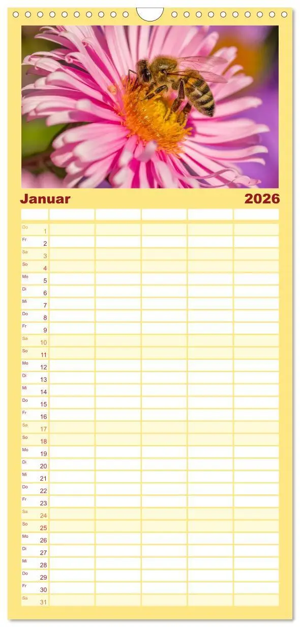 Bild: 9783516520040 | Familienplaner 2026 - Bienenkalender mit 5 Spalten (Wandkalender,...