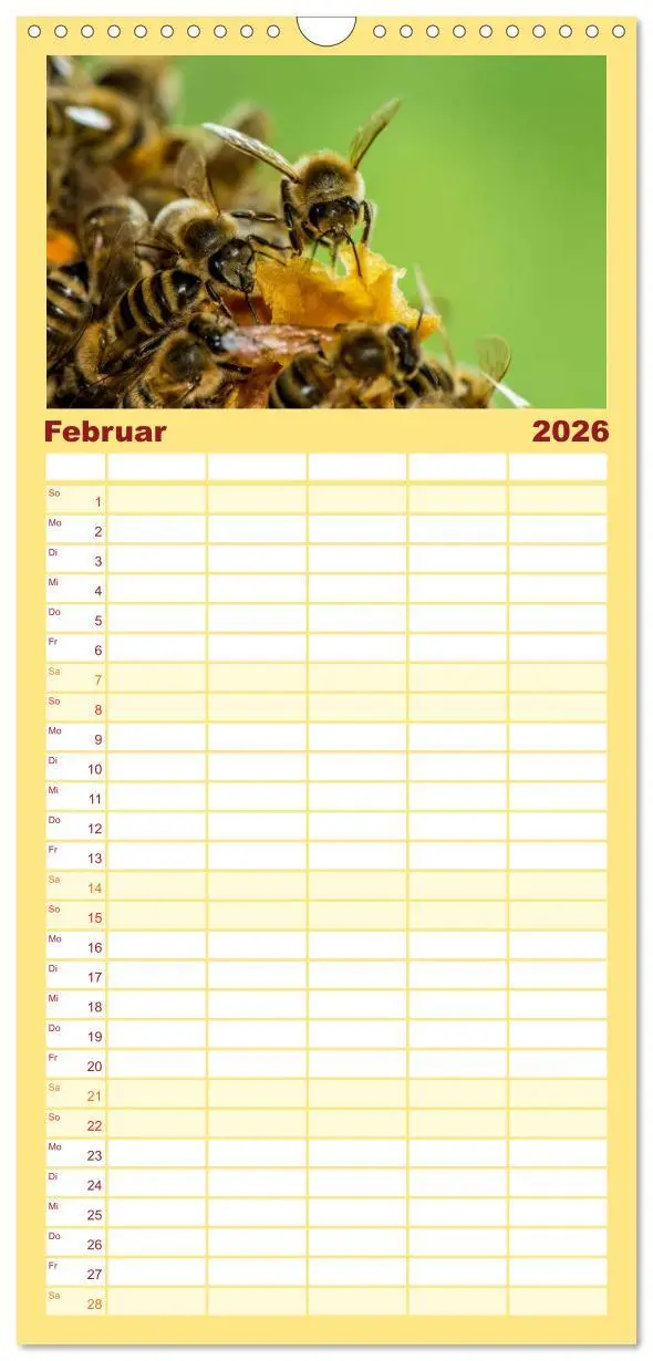Bild: 9783516520040 | Familienplaner 2026 - Bienenkalender mit 5 Spalten (Wandkalender,...