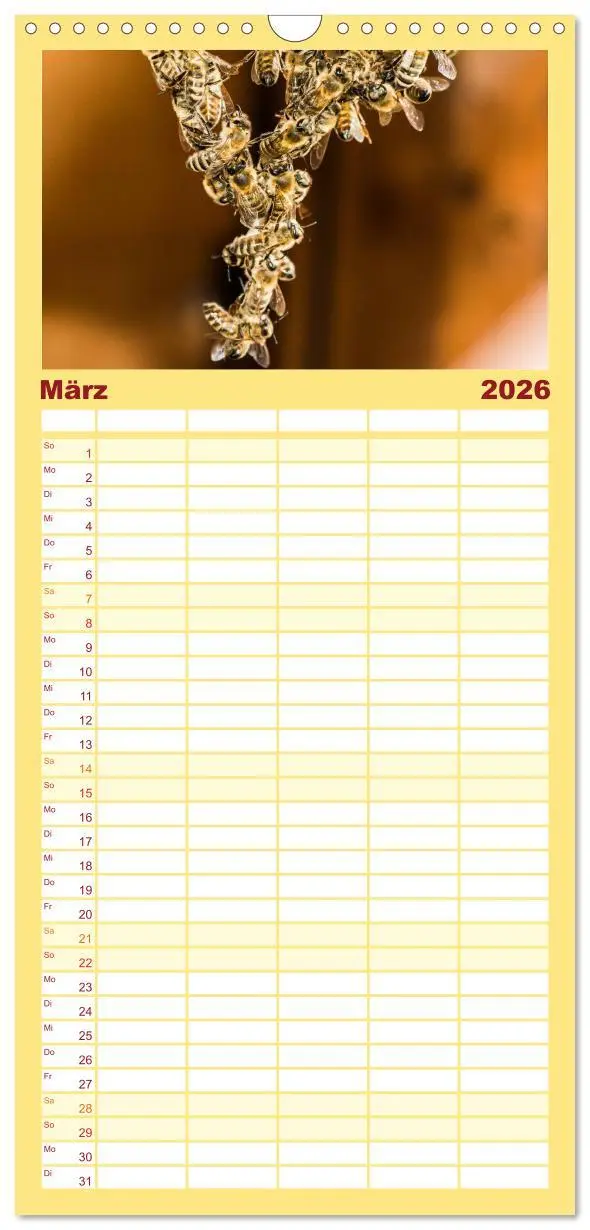 Bild: 9783516520040 | Familienplaner 2026 - Bienenkalender mit 5 Spalten (Wandkalender,...