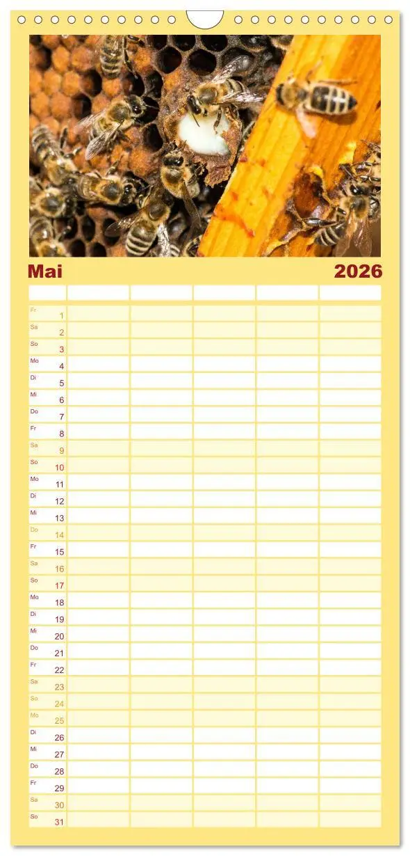 Bild: 9783516520040 | Familienplaner 2026 - Bienenkalender mit 5 Spalten (Wandkalender,...