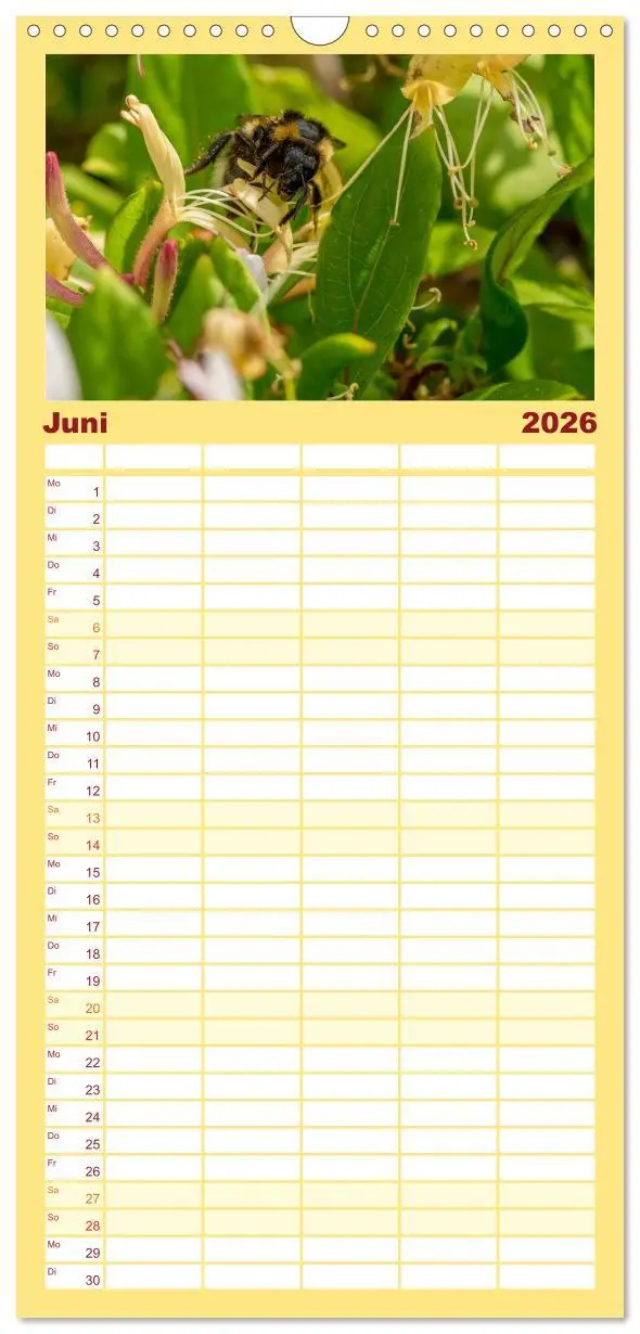 Bild: 9783516520040 | Familienplaner 2026 - Bienenkalender mit 5 Spalten (Wandkalender,...
