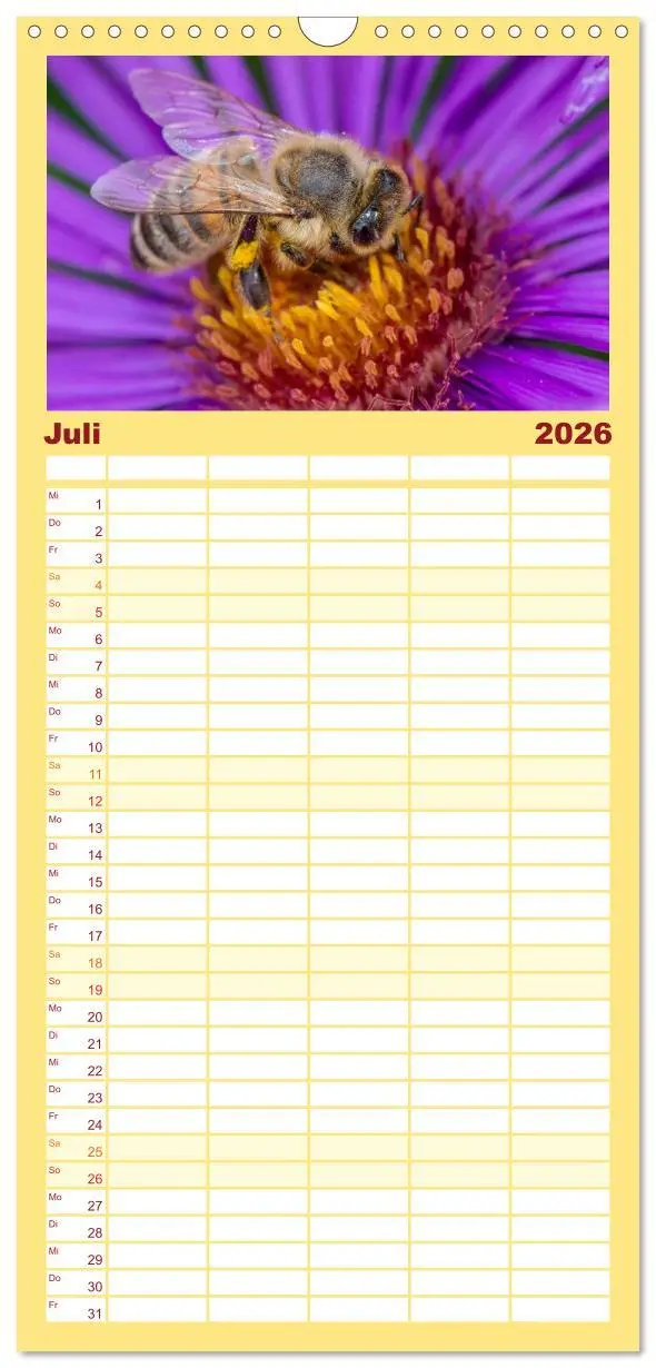 Bild: 9783516520040 | Familienplaner 2026 - Bienenkalender mit 5 Spalten (Wandkalender,...