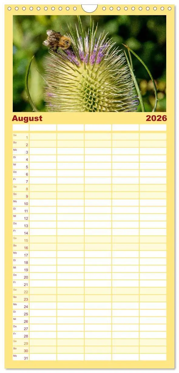 Bild: 9783516520040 | Familienplaner 2026 - Bienenkalender mit 5 Spalten (Wandkalender,...