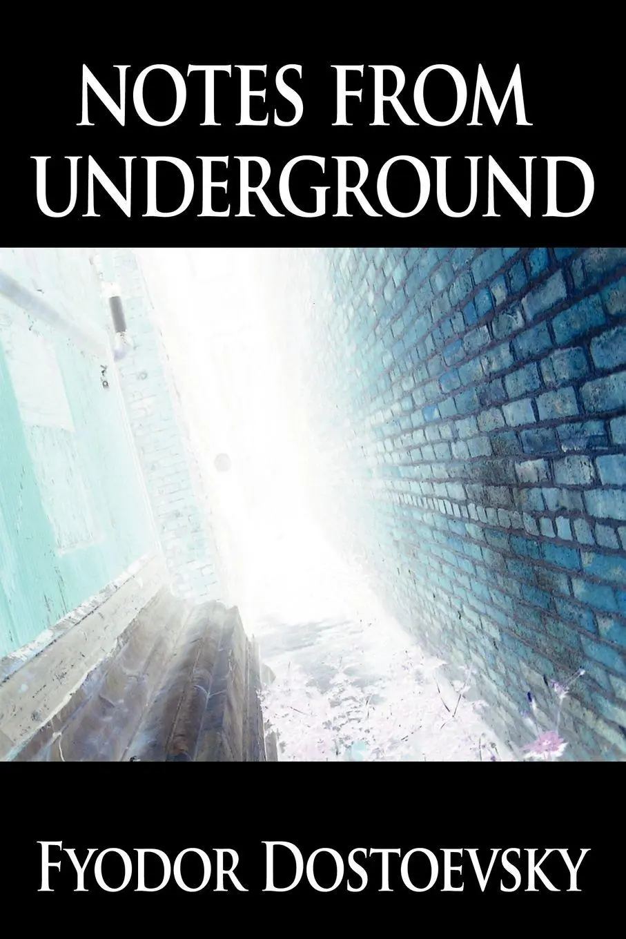 Cover: 9789562910040 | Notes from Underground | Fyodor Mikhailovich Dostoevsky (u. a.) | Buch