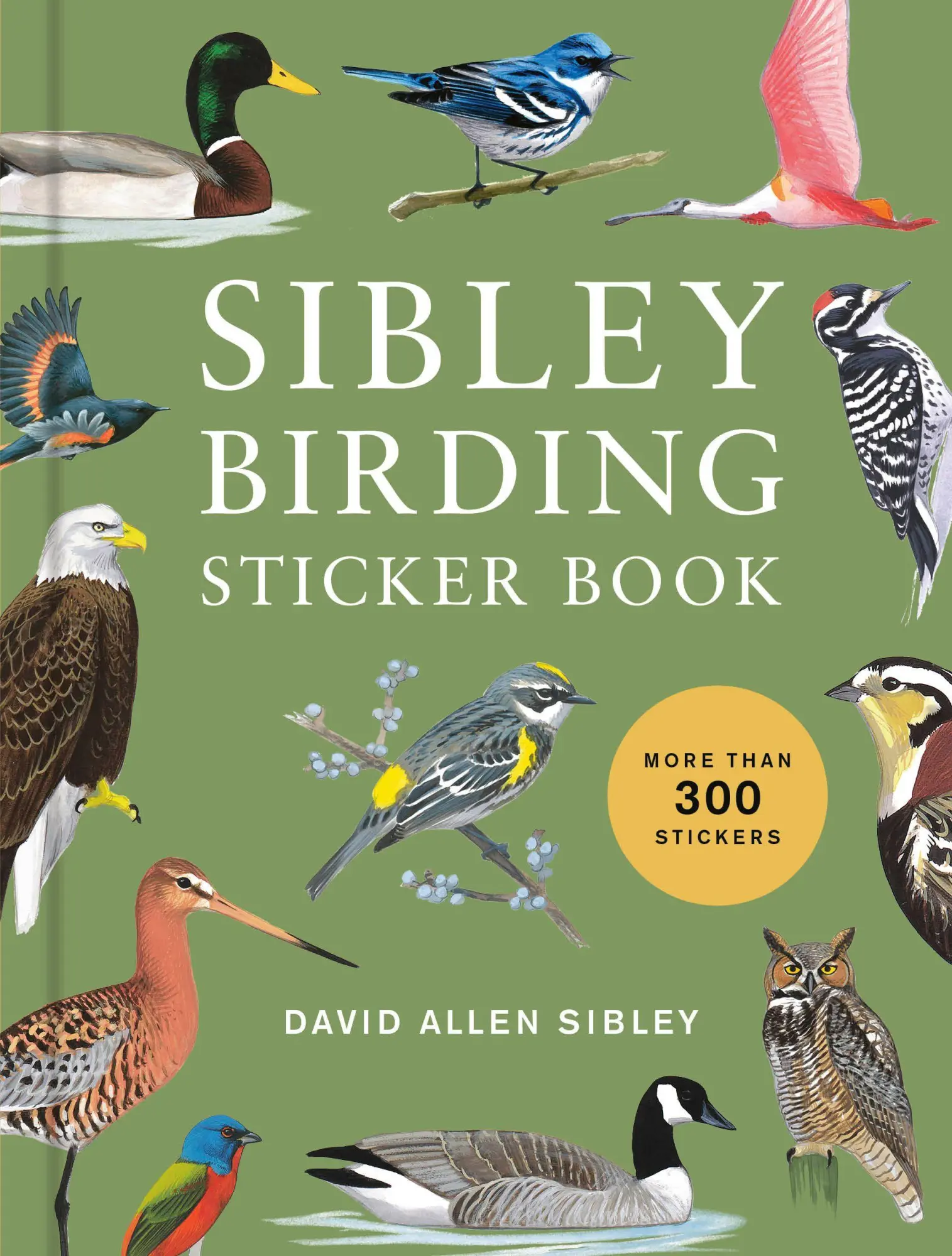Cover: 9780593800140 | Sibley Birding Sticker Book | David Allen Sibley | Buch | Englisch