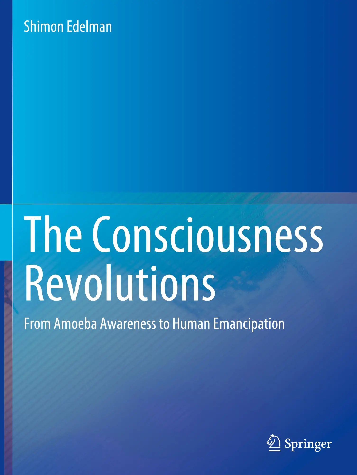 Cover: 9783031240140 | The Consciousness Revolutions | Shimon Edelman | Taschenbuch | x