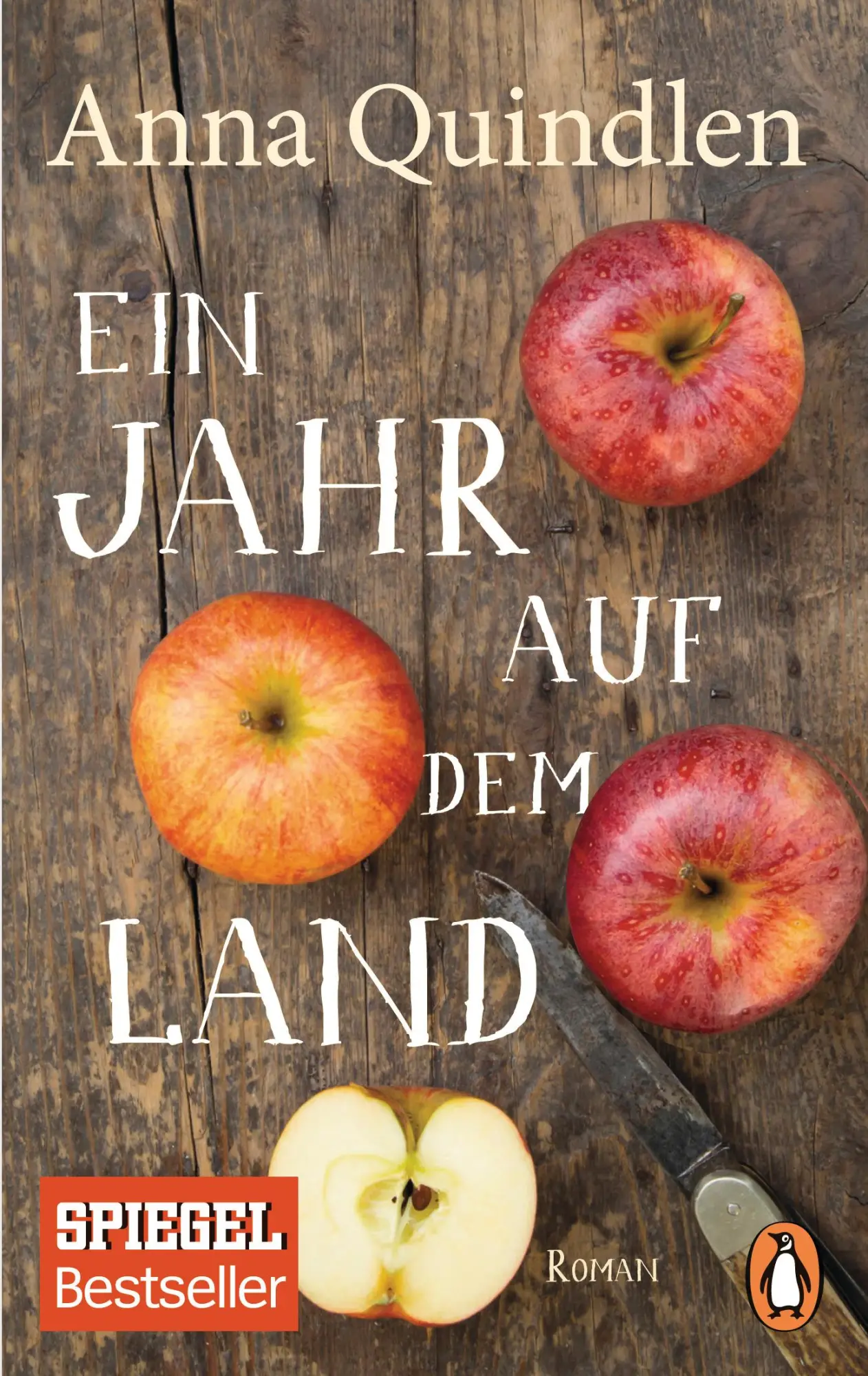 Cover: 9783328100140 | Ein Jahr auf dem Land | Anna Quindlen | Taschenbuch | 320 S. | Deutsch