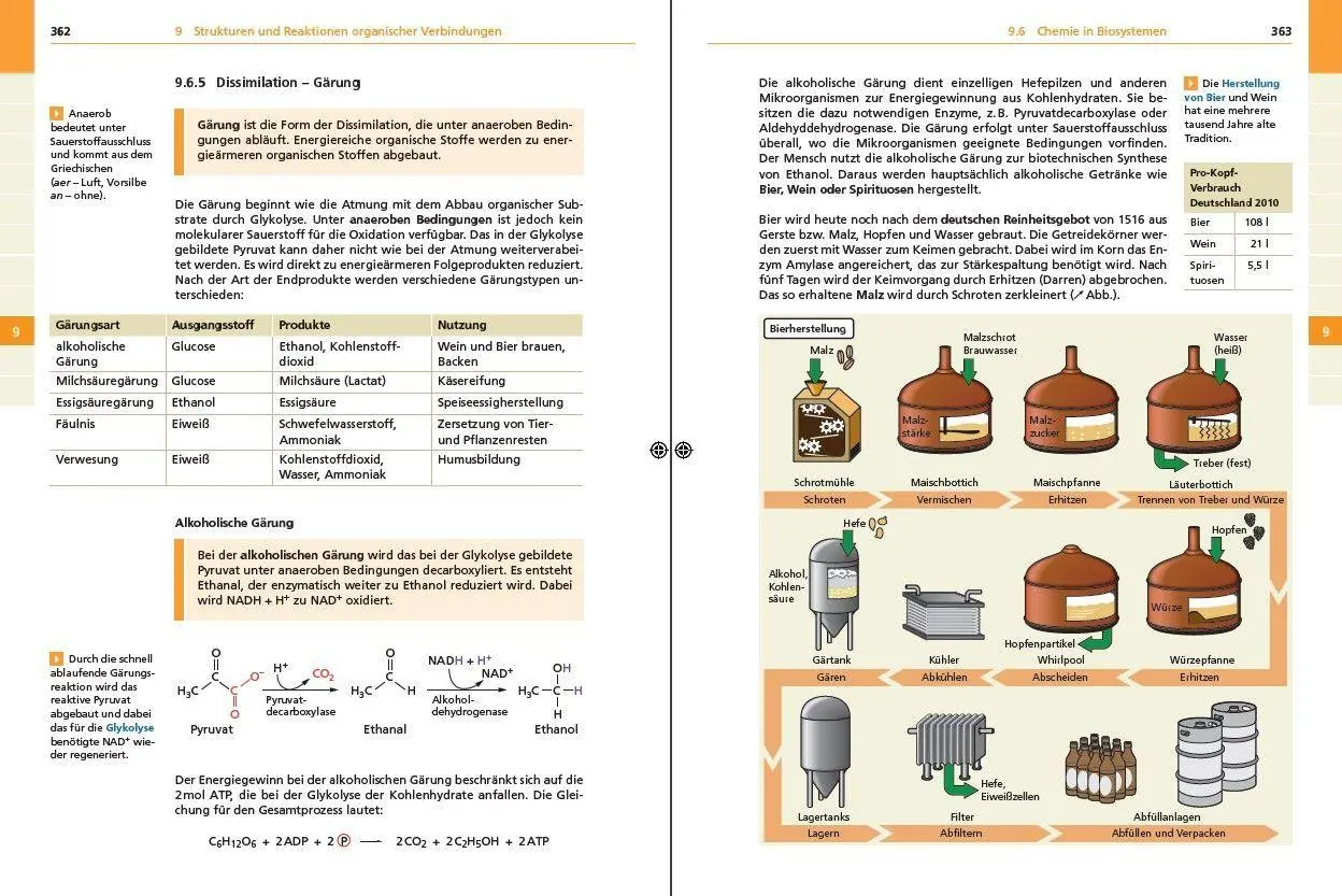 Bild: 9783411710140 | Basiswissen Schule - Chemie Abi | Erhard Kemnitz (u. a.) | Taschenbuch