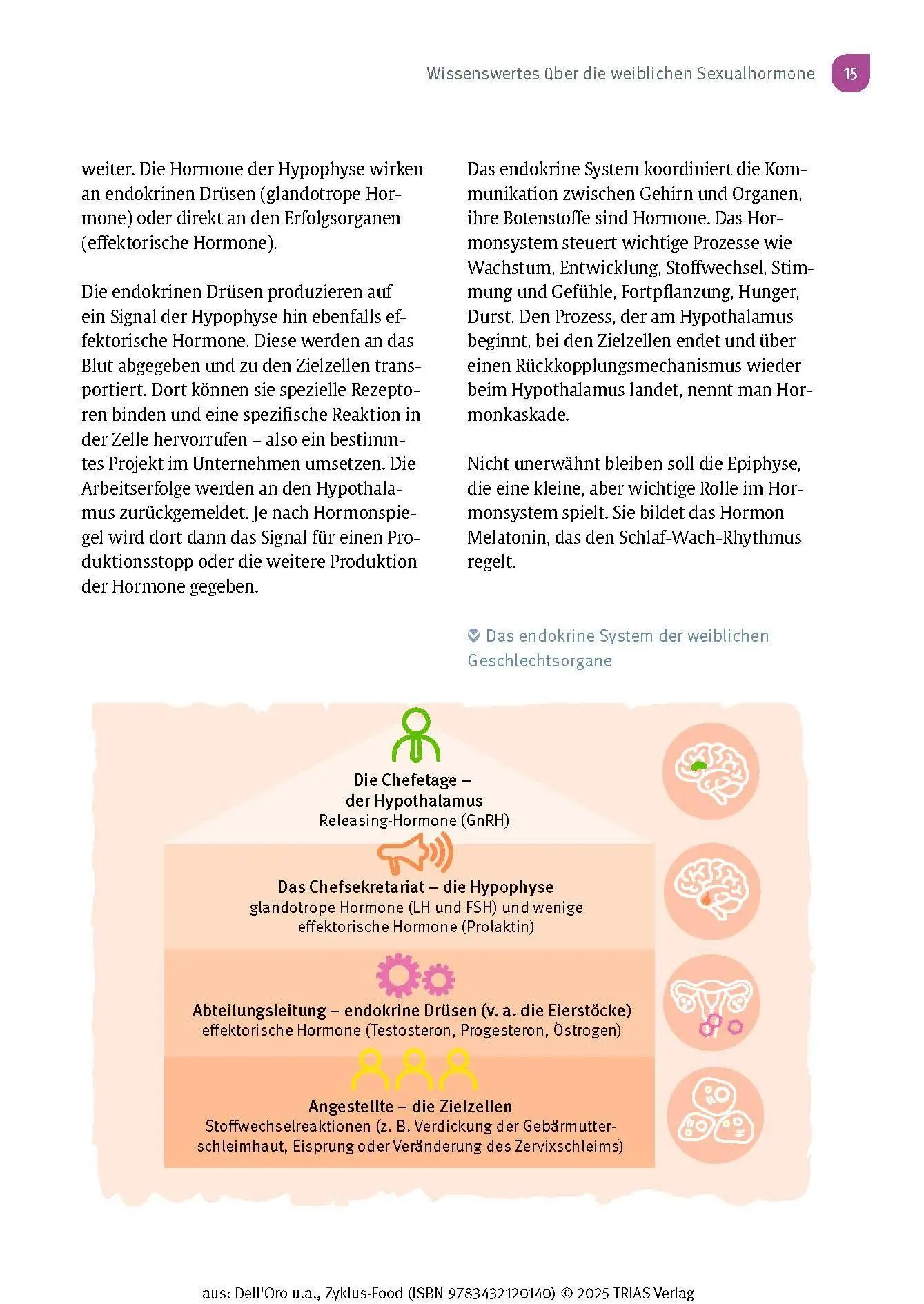 Bild: 9783432120140 | Zyklus-Food | Melanie Dell`Oro (u. a.) | Taschenbuch | 160 S. | 2025