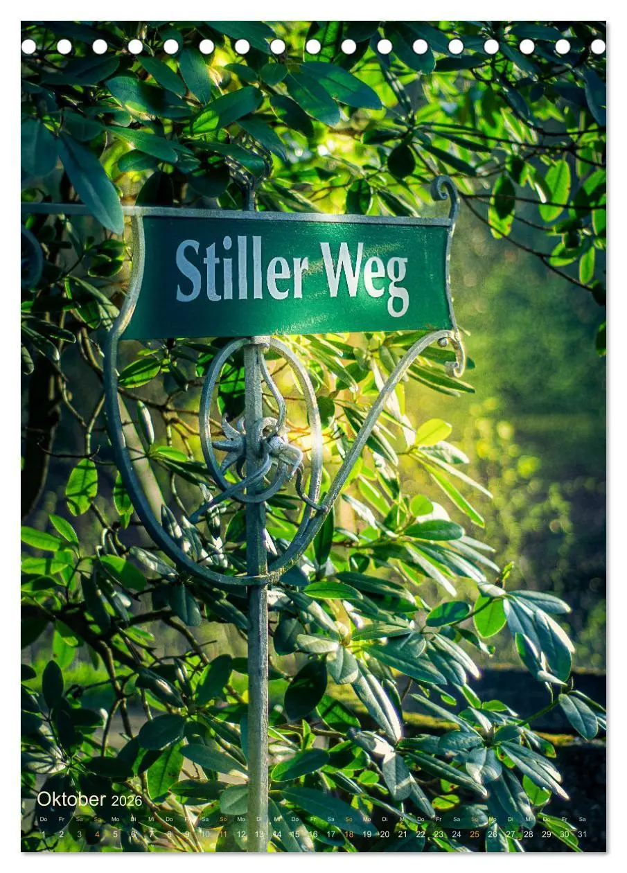Bild: 9783516370140 | Die stillen Momente im Ohlsdorfer Friedhof (Tischkalender 2026 DIN...