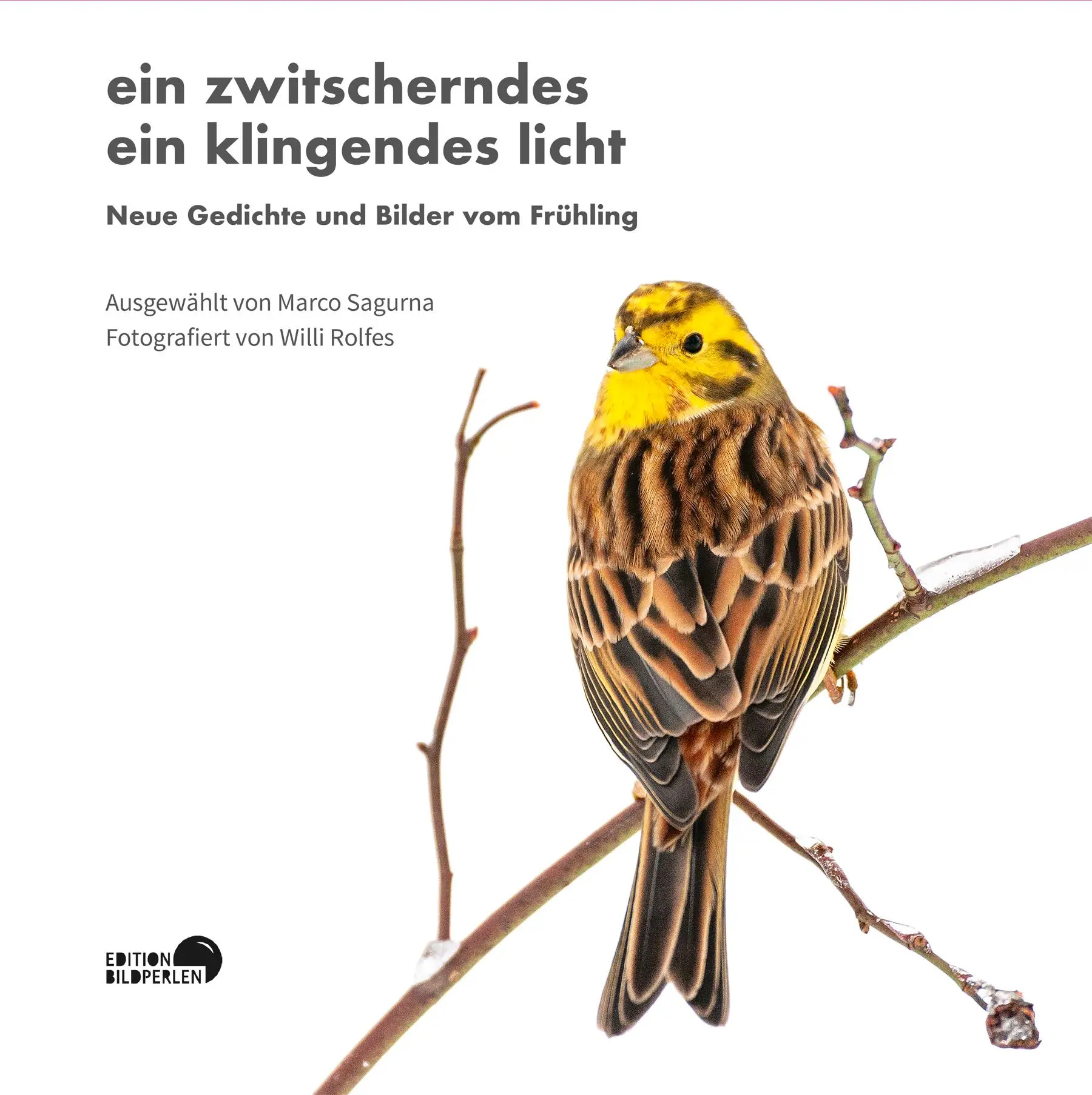 Cover: 9783965460140 | 2 | Neue Gedichte und Bilder vom Frühling | Michael Augustin | Buch