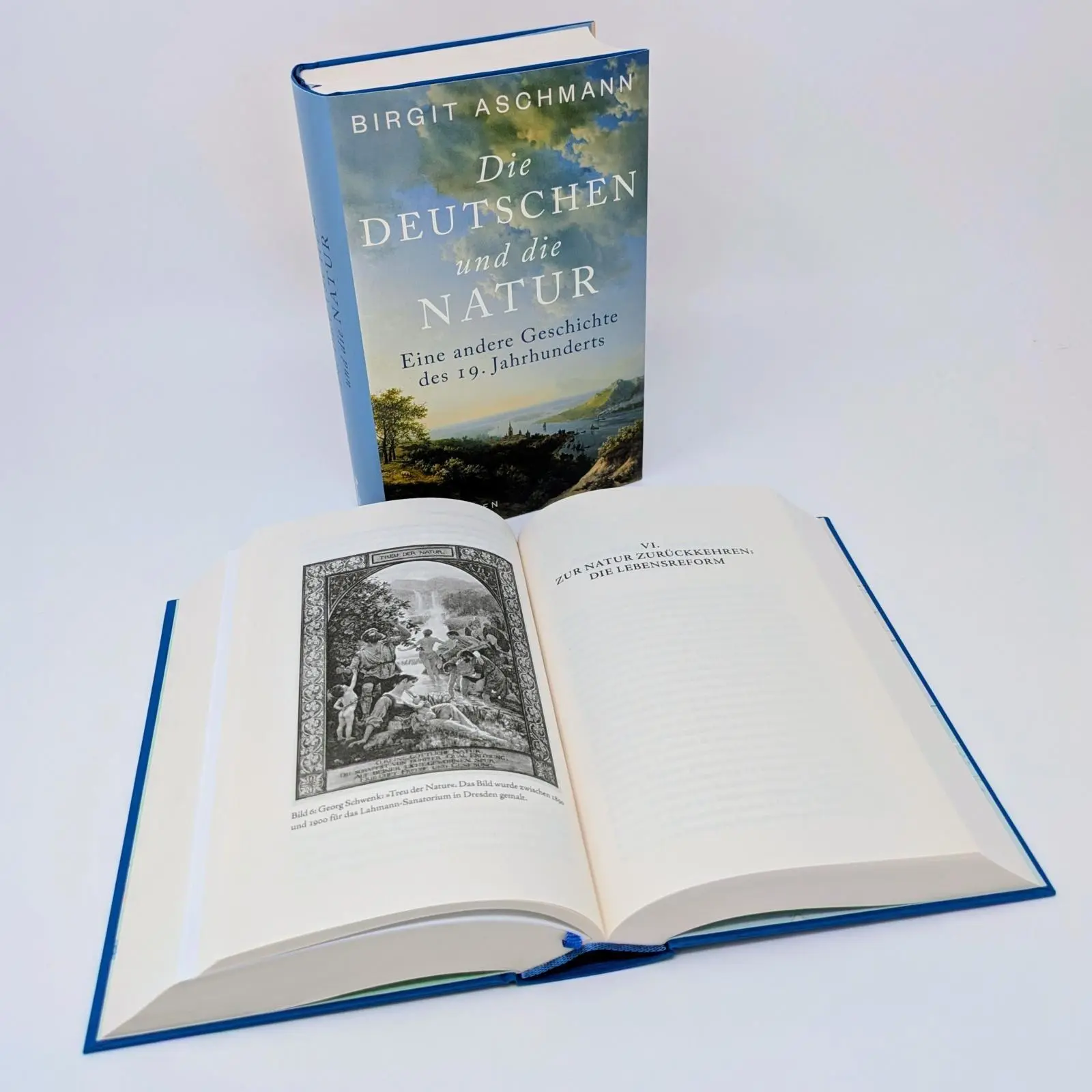 Bild: 9783549100240 | Die Deutschen und die Natur | Birgit Aschmann | Buch | 720 S. | 2025