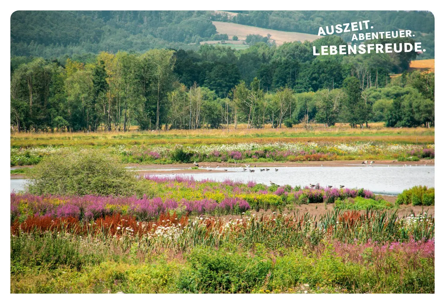 Bild: 9783616110240 | 52 kleine &amp; große Eskapaden Kassel und Nordhessen | Ab nach draußen!