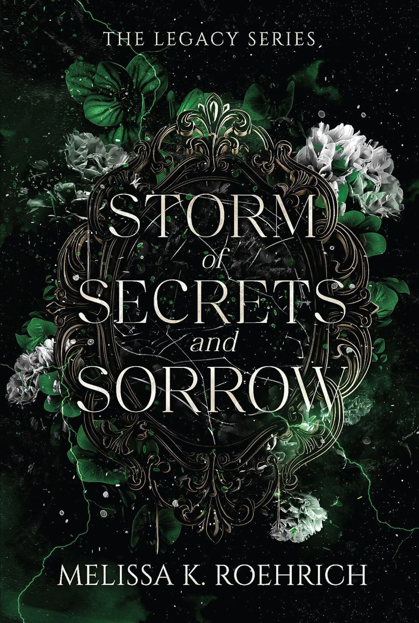 Cover: 9781496760340 | Storm of Secrets and Sorrow | Melissa K Roehrich | Taschenbuch | 2025