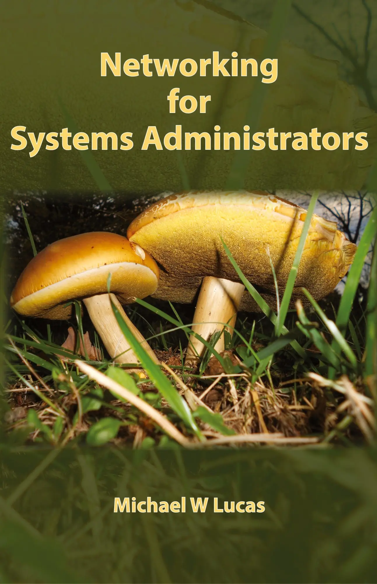 Cover: 9781642350340 | Networking for Systems Administrators | Michael W Lucas | Buch | 2019