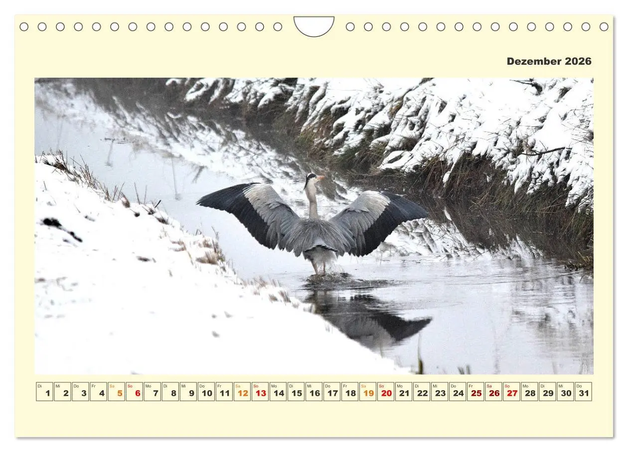 Bild: 9783457570340 | Tierwelt der Wümmeniederung (Wandkalender 2026 DIN A4 quer),...
