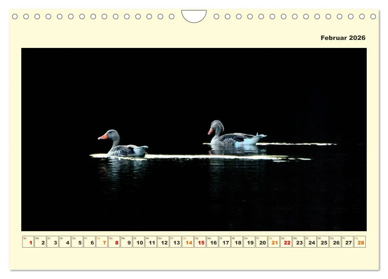 Bild: 9783457570340 | Tierwelt der Wümmeniederung (Wandkalender 2026 DIN A4 quer),...