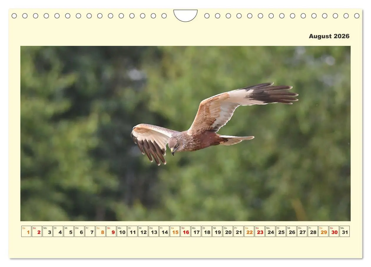 Bild: 9783457570340 | Tierwelt der Wümmeniederung (Wandkalender 2026 DIN A4 quer),...