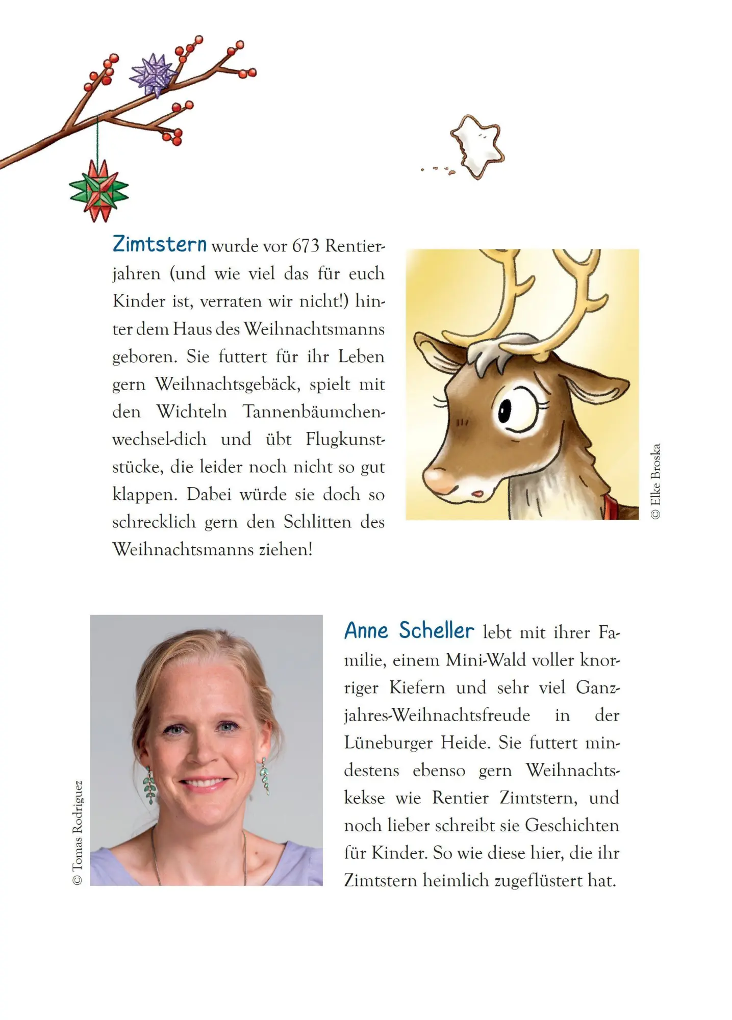 Bild: 9783833910340 | Ein Rentier namens Zimtstern - Ein Adventskalenderbuch in 24 Kapiteln