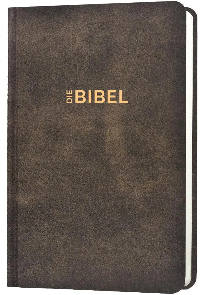 Cover: 9783866990340 | Schlachter 2000 Bibel - Taschenausgabe (Hardcover, illustrierter...