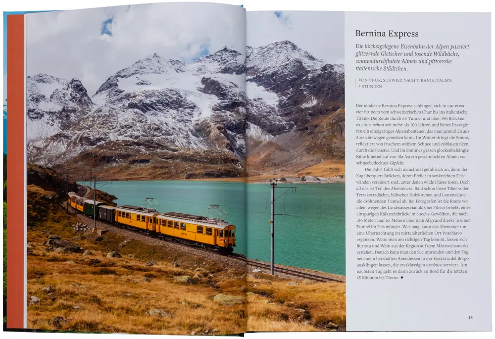 Bild: 9783967040340 | Zugvögel | gestalten (u. a.) | Buch | 288 S. | Deutsch | 2021