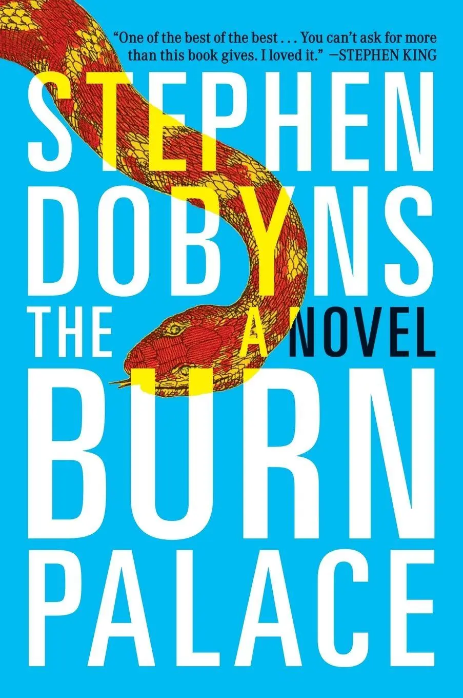 Cover: 9780142180440 | The Burn Palace | A Novel | Stephen Dobyns | Taschenbuch | Englisch