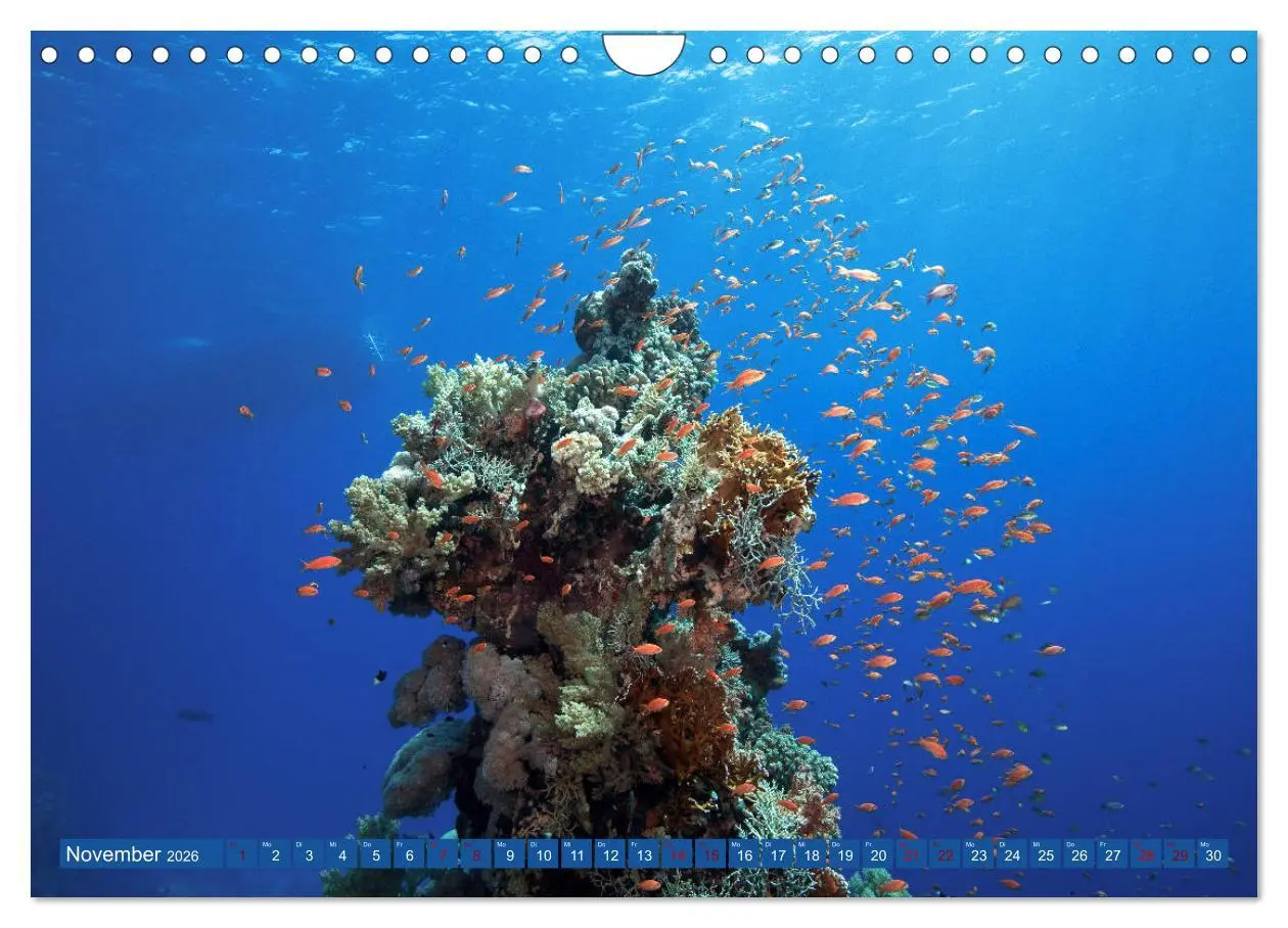 Bild: 9783457940440 | Farbenfrohes Meer (Wandkalender 2026 DIN A4 quer), CALVENDO...