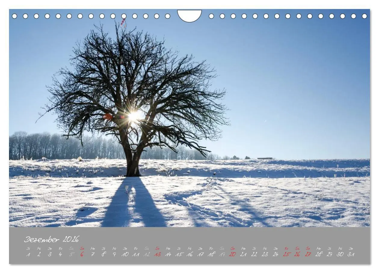 Bild: 9783516030440 | Zwölf Monate in Tübingen (Wandkalender 2026 DIN A4 quer), CALVENDO...