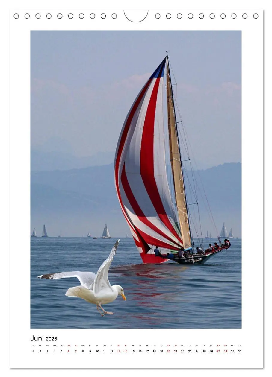 Bild: 9783516340440 | Segeln - auf Kurs (Wandkalender 2026 DIN A4 hoch), CALVENDO...