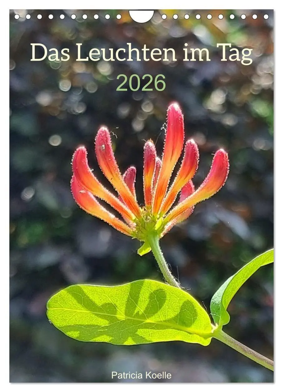 Cover: 9783516720440 | Das Leuchten im Tag (Wandkalender 2026 DIN A4 hoch), CALVENDO...