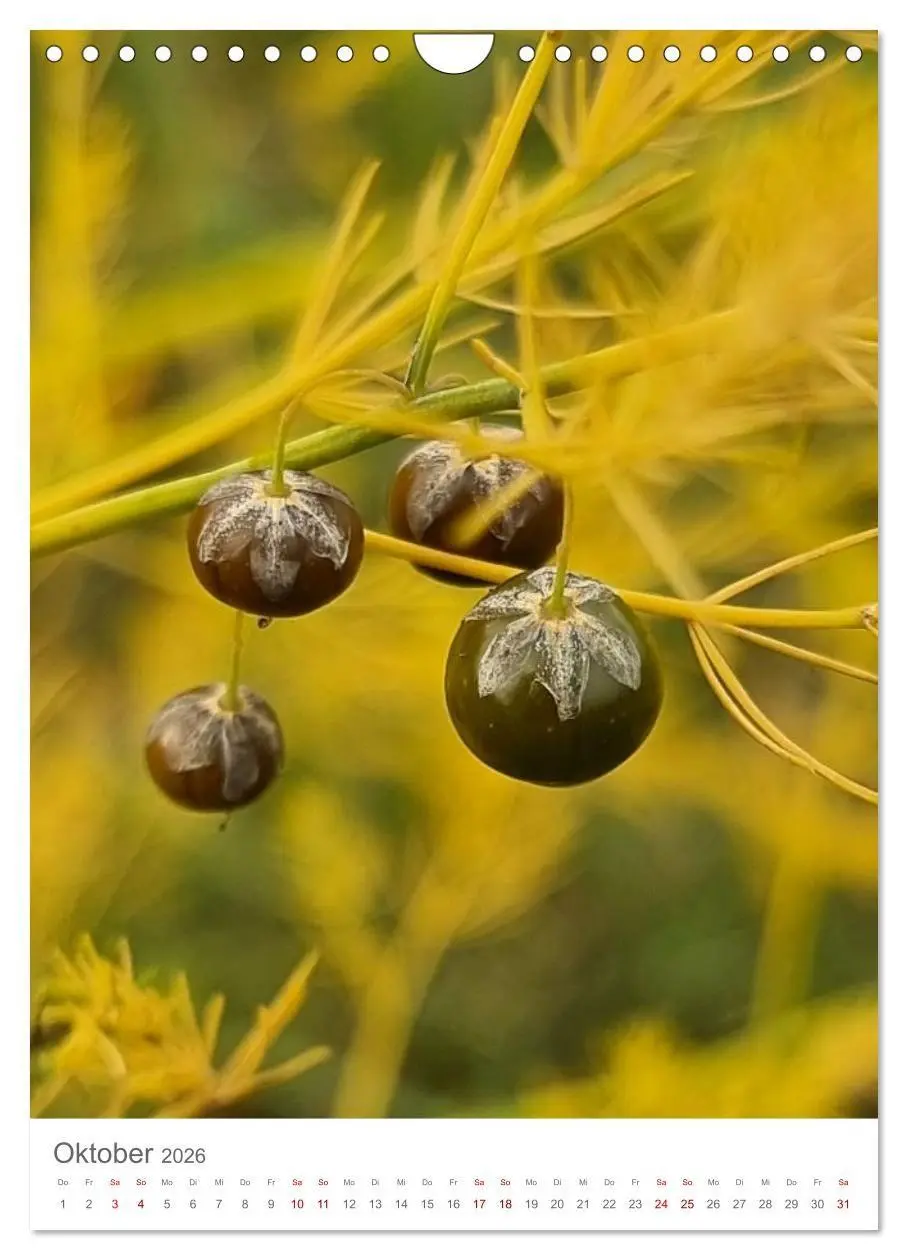 Bild: 9783516720440 | Das Leuchten im Tag (Wandkalender 2026 DIN A4 hoch), CALVENDO...