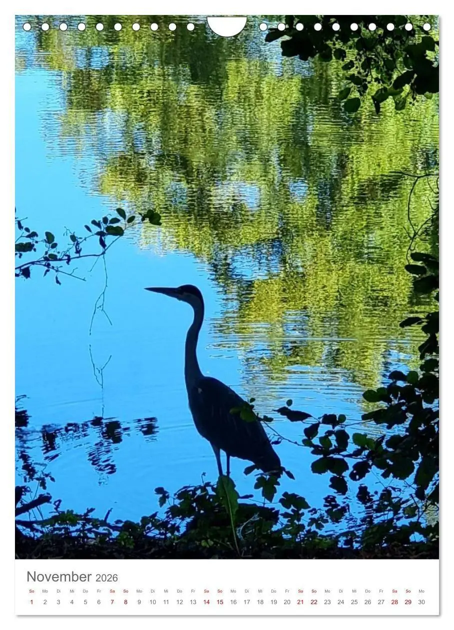 Bild: 9783516720440 | Das Leuchten im Tag (Wandkalender 2026 DIN A4 hoch), CALVENDO...