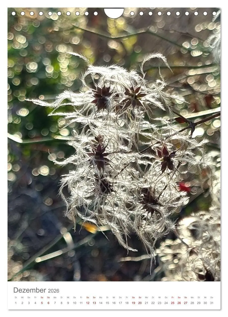 Bild: 9783516720440 | Das Leuchten im Tag (Wandkalender 2026 DIN A4 hoch), CALVENDO...