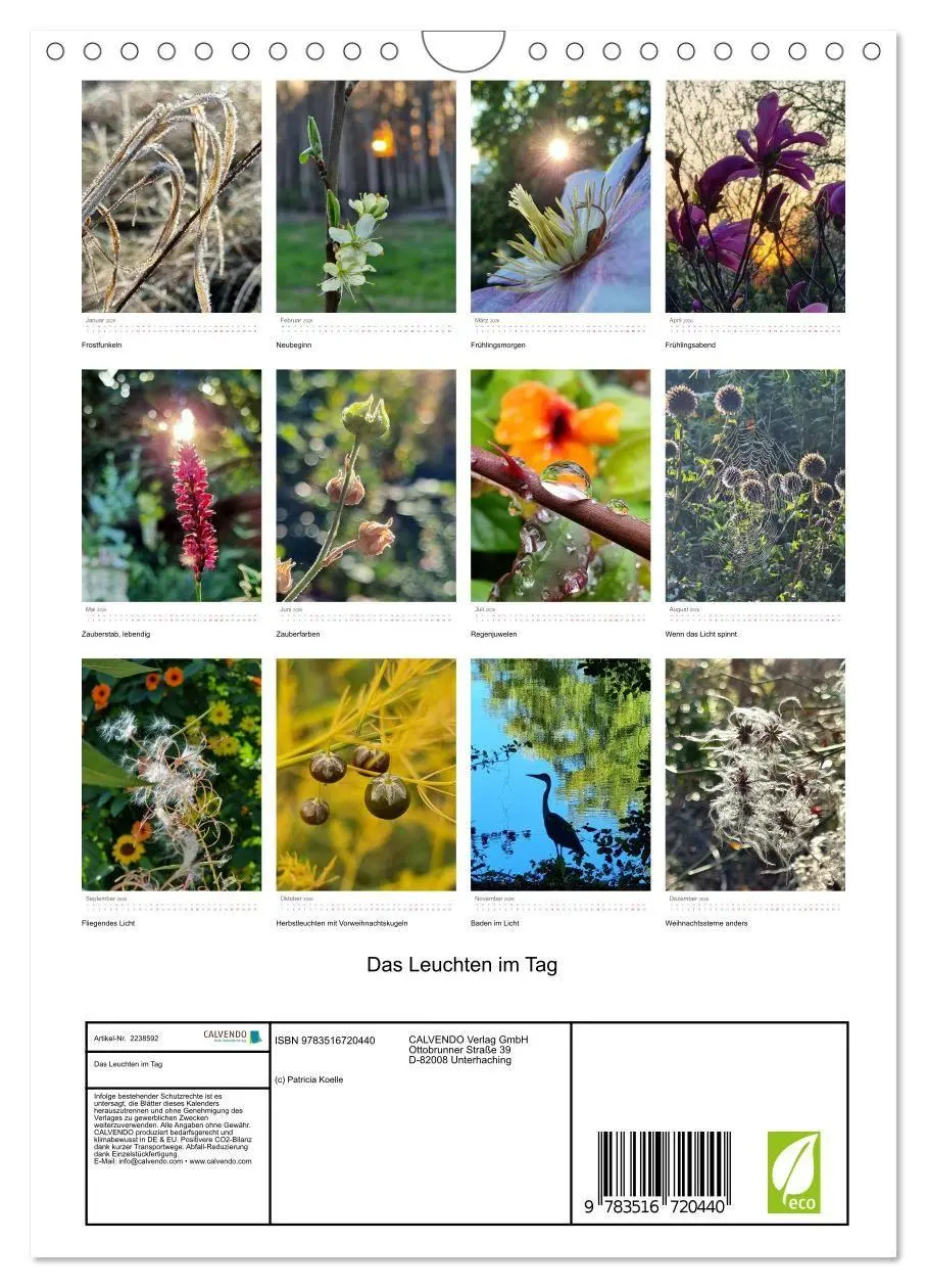 Bild: 9783516720440 | Das Leuchten im Tag (Wandkalender 2026 DIN A4 hoch), CALVENDO...