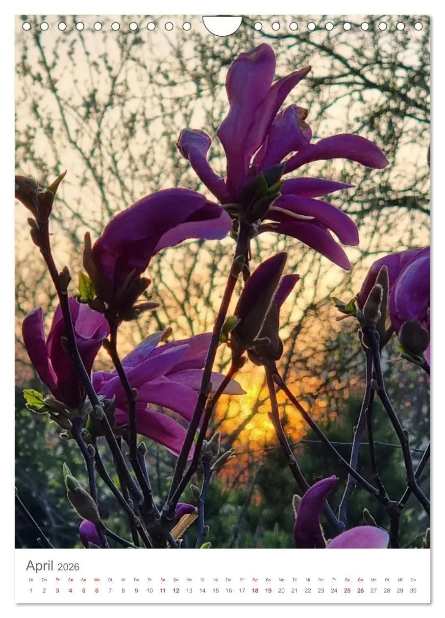 Bild: 9783516720440 | Das Leuchten im Tag (Wandkalender 2026 DIN A4 hoch), CALVENDO...