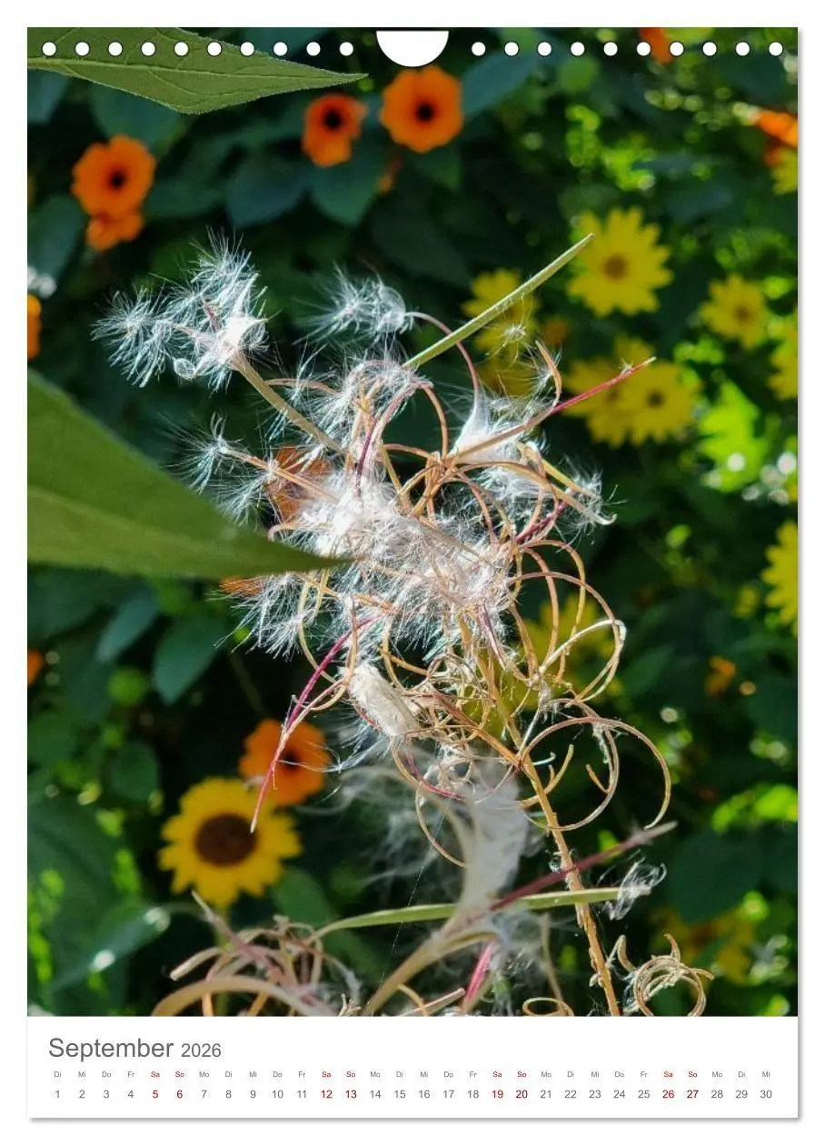 Bild: 9783516720440 | Das Leuchten im Tag (Wandkalender 2026 DIN A4 hoch), CALVENDO...