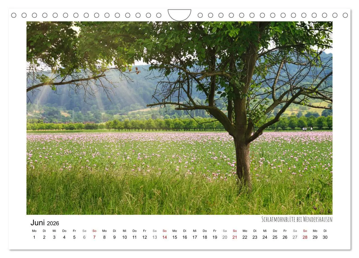 Bild: 9783457310540 | Zauberhaftes Witzenhausen (Wandkalender 2026 DIN A4 quer), CALVENDO...