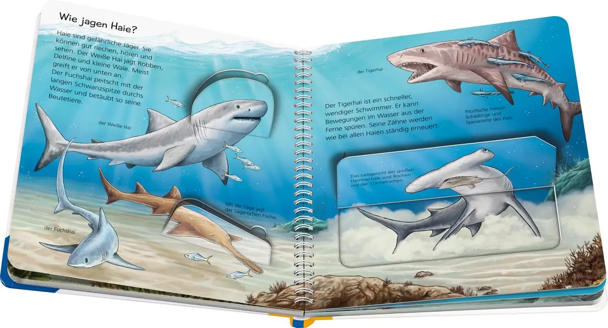 Bild: 9783473600540 | Wieso? Weshalb? Warum? junior, Band 57 - Tiere im Meer | Saan | Buch