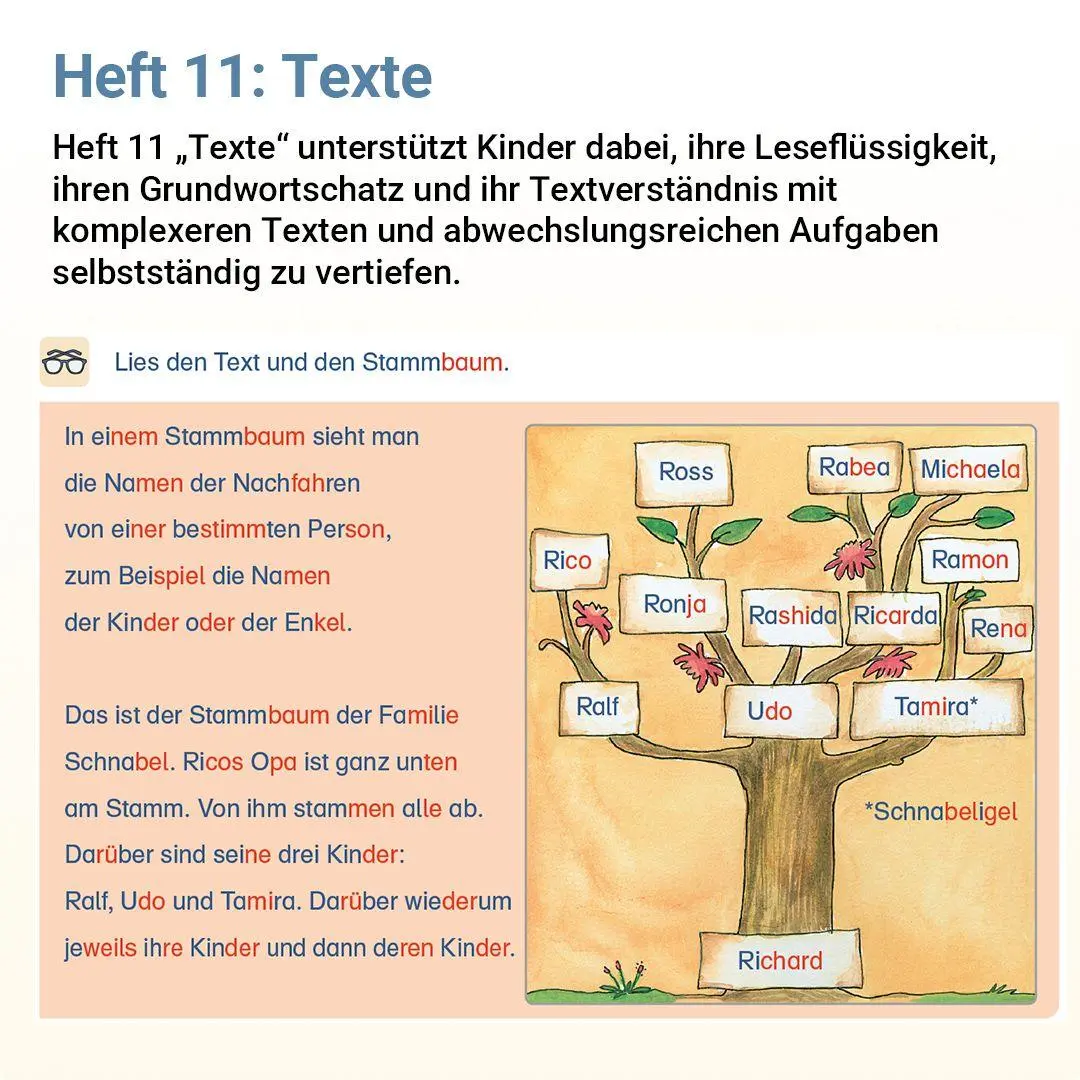 Bild: 9783619220540 | Lesen mit Rico Schnabel, Heft 11: Texte | Stefanie Drecktrah (u. a.)