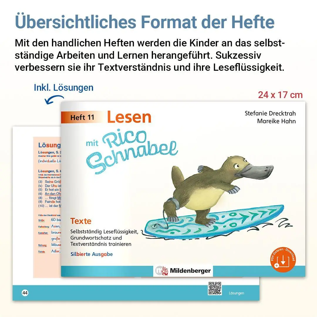 Bild: 9783619220540 | Lesen mit Rico Schnabel, Heft 11: Texte | Stefanie Drecktrah (u. a.)
