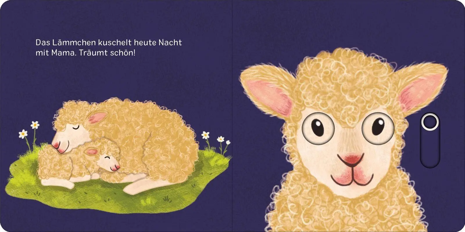 Bild: 9783845870540 | Augen zu und gute Nacht! | Juliana Motzko | Buch | 14 S. | Deutsch