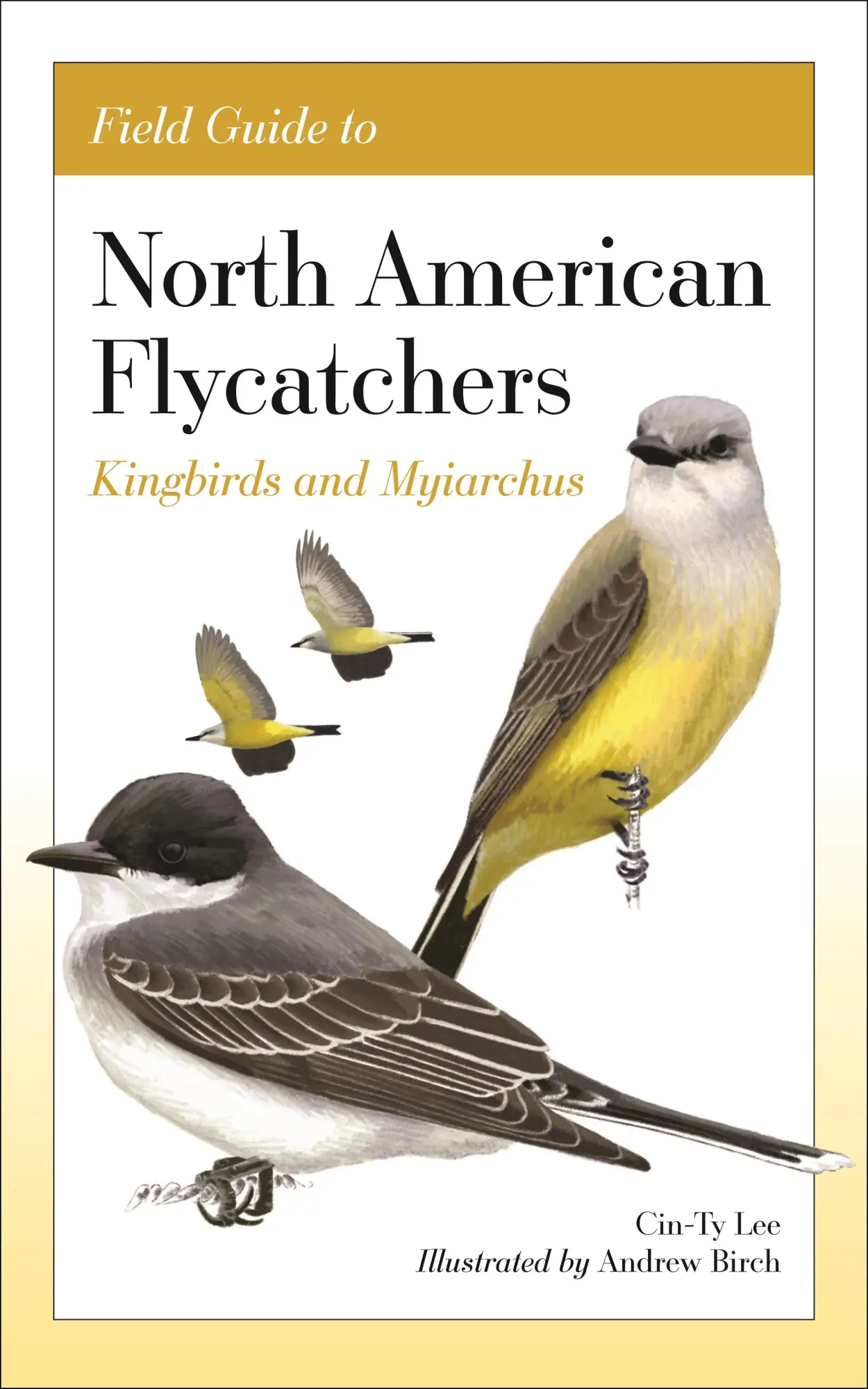 Cover: 9780691240640 | Field Guide to North American Flycatchers | Kingbirds and Myiarchus