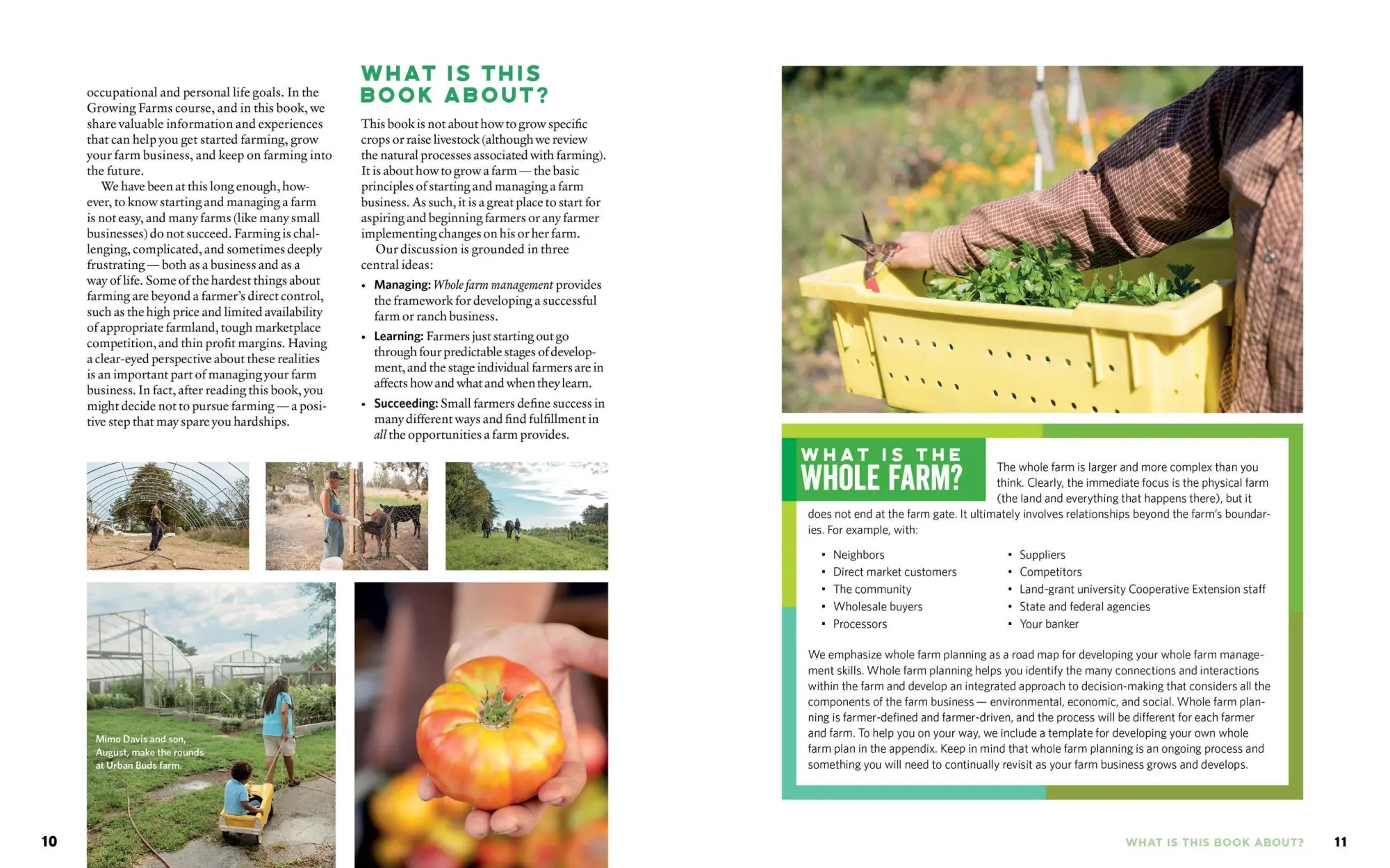 Bild: 9781635860740 | Whole Farm Management | From Start-Up to Sustainability | Stephenson