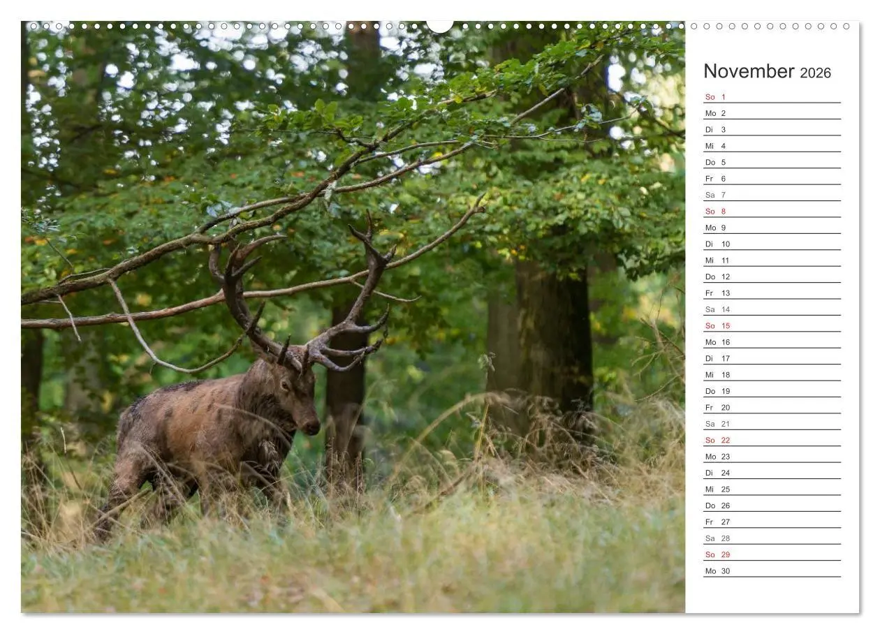 Bild: 9783516000740 | Emotionale Momente: Hirschbrunft. Part II. (hochwertiger Premium...