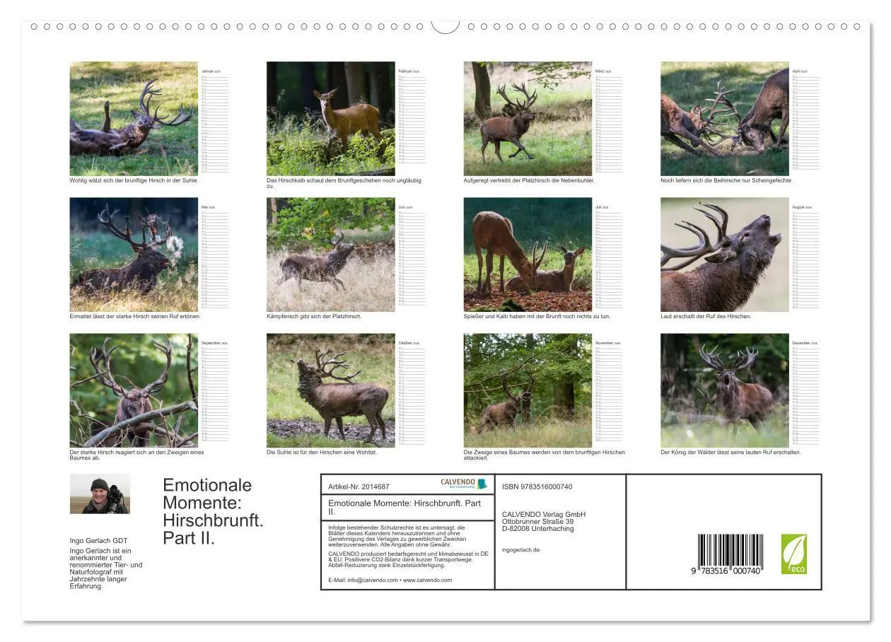 Bild: 9783516000740 | Emotionale Momente: Hirschbrunft. Part II. (hochwertiger Premium...