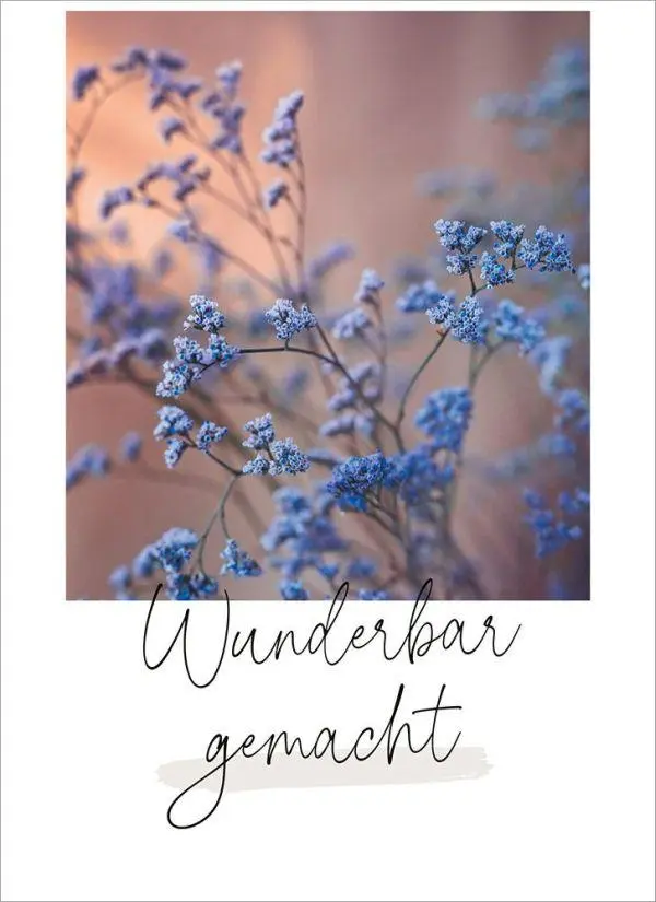 Bild: 4029856840840 | Wunderbar gemacht - Postkartenset | Taschenbuch | 18 S. | Deutsch
