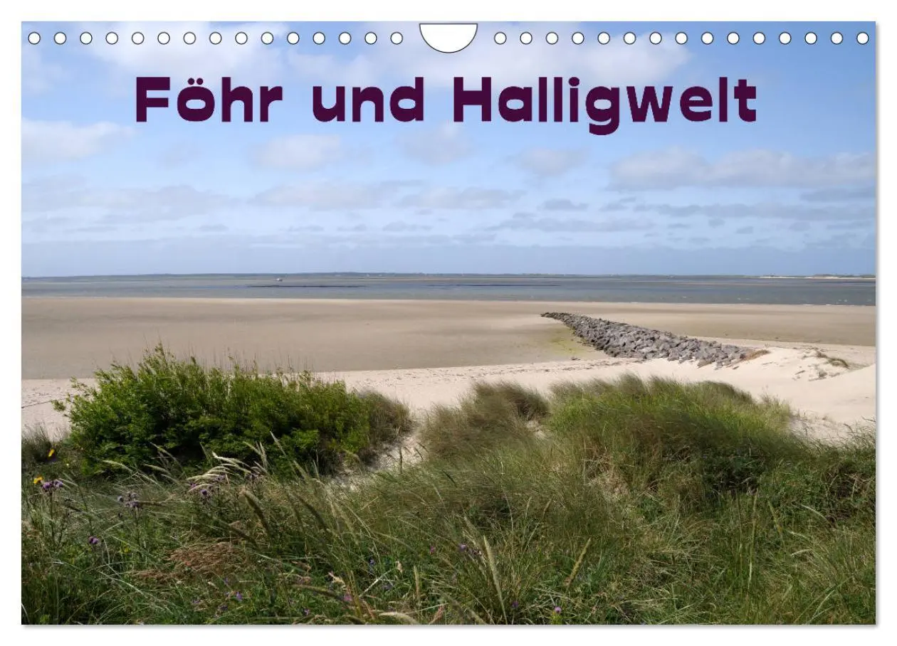 Cover: 9783516160840 | Föhr und Halligwelt 2026 (Wandkalender 2026 DIN A4 quer), CALVENDO...